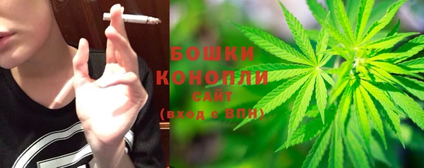 индика Ростов