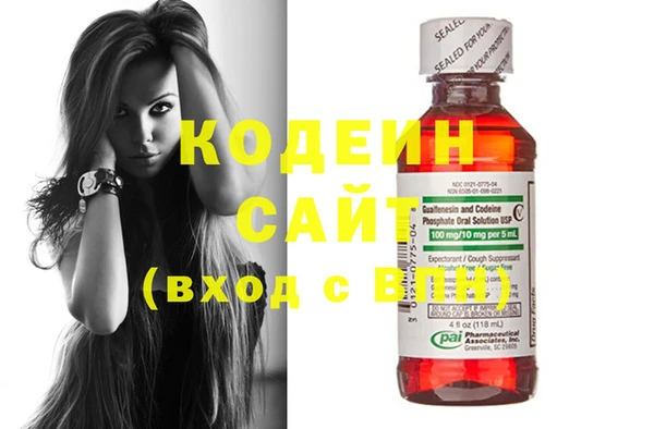 индика Ростов