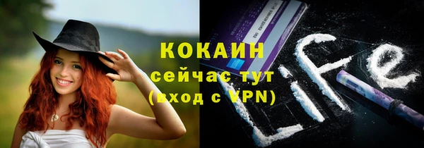 мяу мяу кристалл Рославль