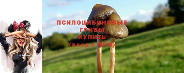 не бодяженный Россошь