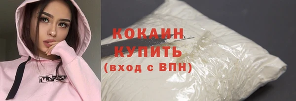 индика Ростов