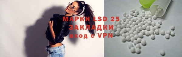 индика Ростов