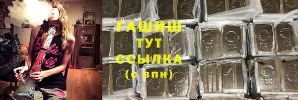 индика Ростов