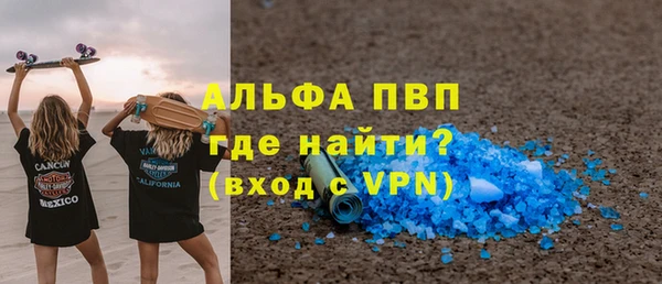 индика Ростов