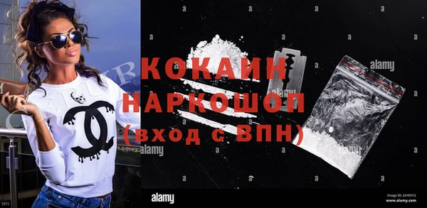 индика Ростов