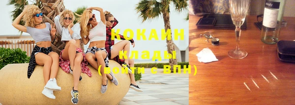 индика Ростов